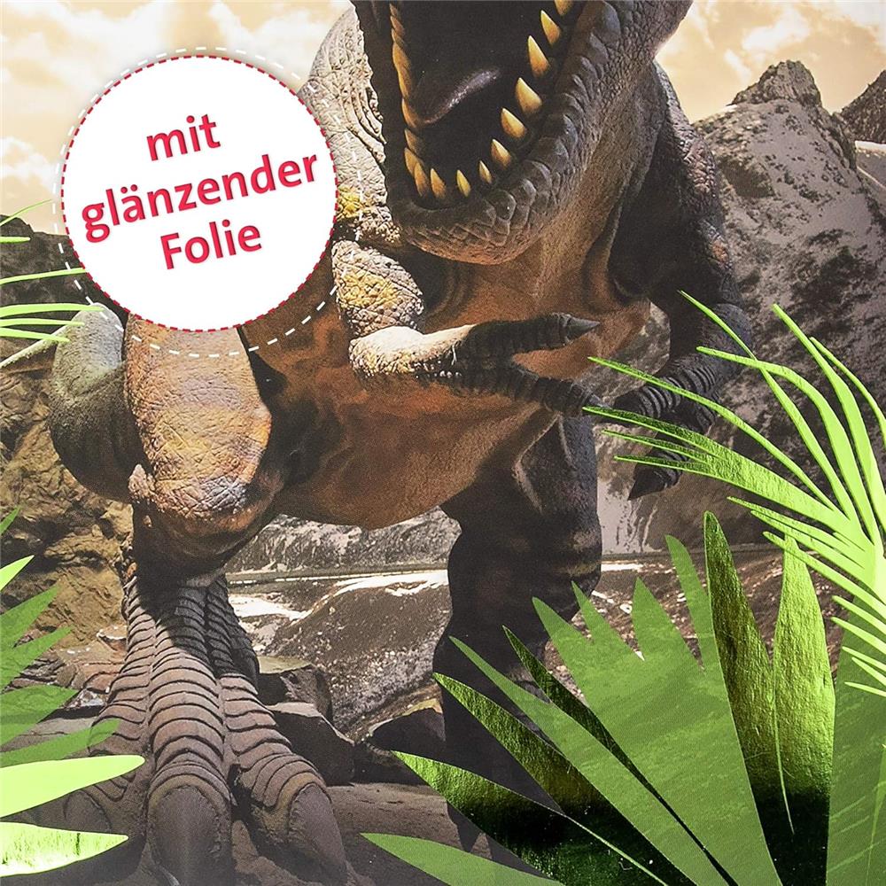 Roth Zeugnismappe Dinosaurier Tyrannosaurus mit Folie, mit 10 A4 Klarsichthüllen