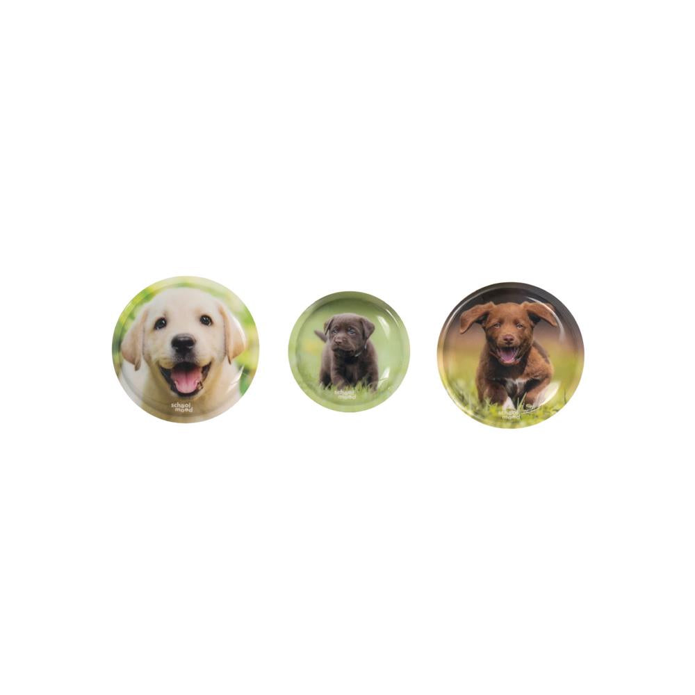 School-Mood 3er Patchy-Set Leni Hund
